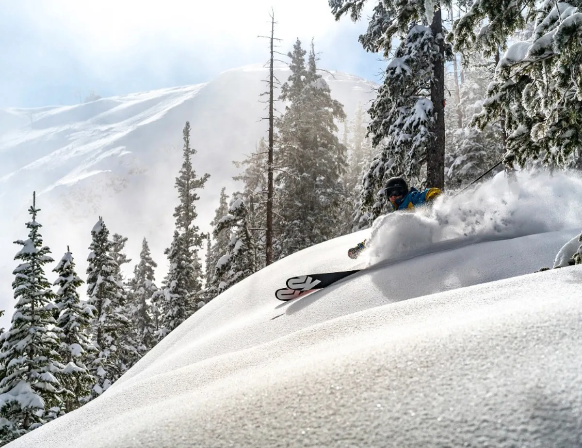 Skier carving through powder on a tree-lined slope